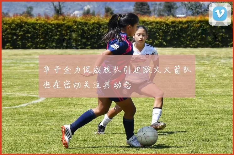 华子全力促成狼队引进欧文火箭队也在密切关注其动态