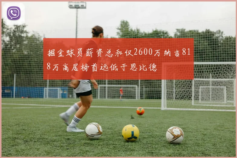 掘金球员薪资总和仅2600万纳吉818万高居榜首远低于恩比德