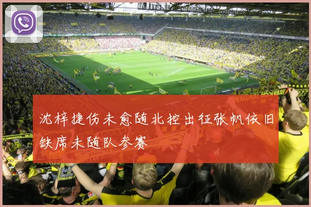 沈梓捷伤未愈随北控出征张帆依旧缺席未随队参赛