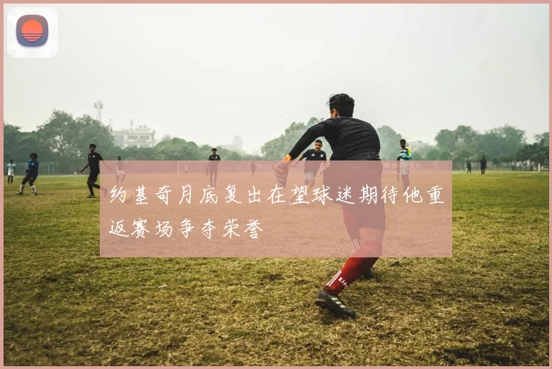 约基奇月底复出在望球迷期待他重返赛场争夺荣誉